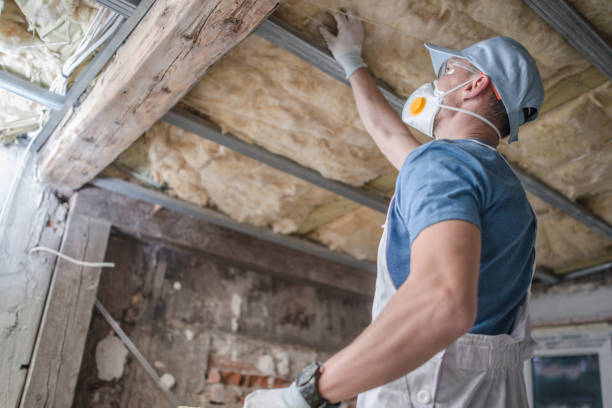 Best Spray Foam Insulation in Shenandoah Junction, WV